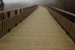 1990 20-10 wooden pathway