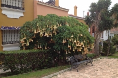 2006 21-10 Torreguardiaro