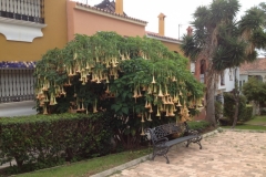 2007 21-10 Torreguardiaro