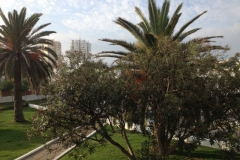 2035 22-10 Torreguardiaro
