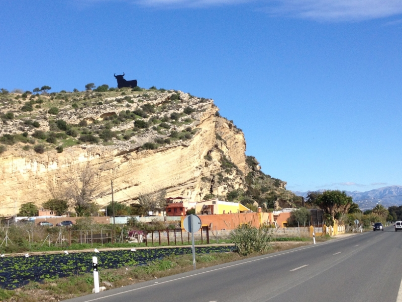 4327 21-12 Bull on a cliff