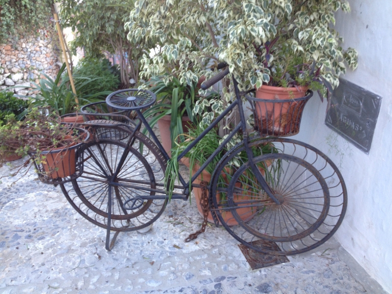 4415 26-12 Flower bike