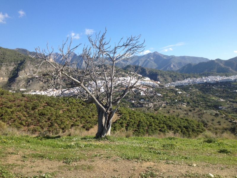 4549 5-1 view