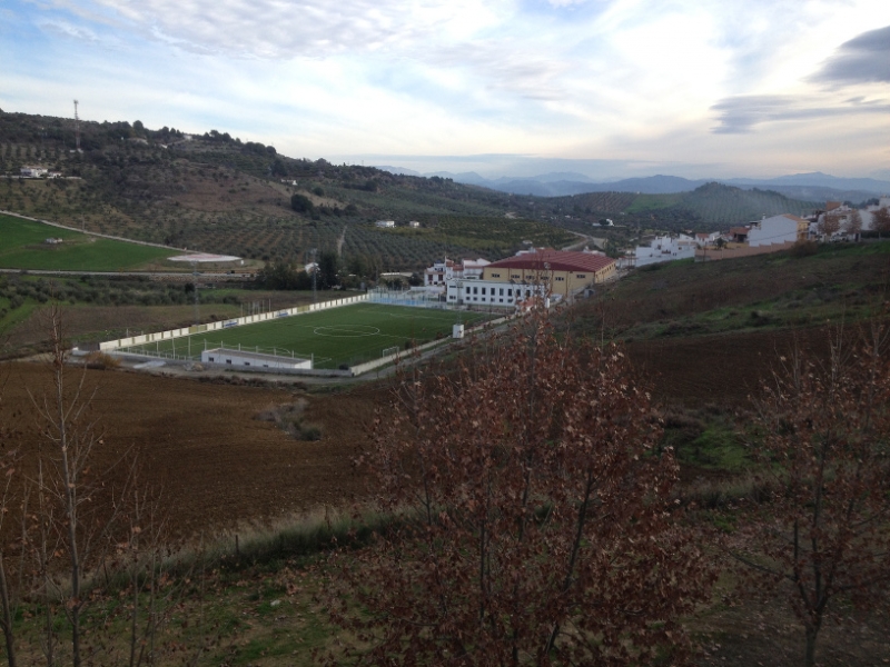 4593 10-1 Football pitch