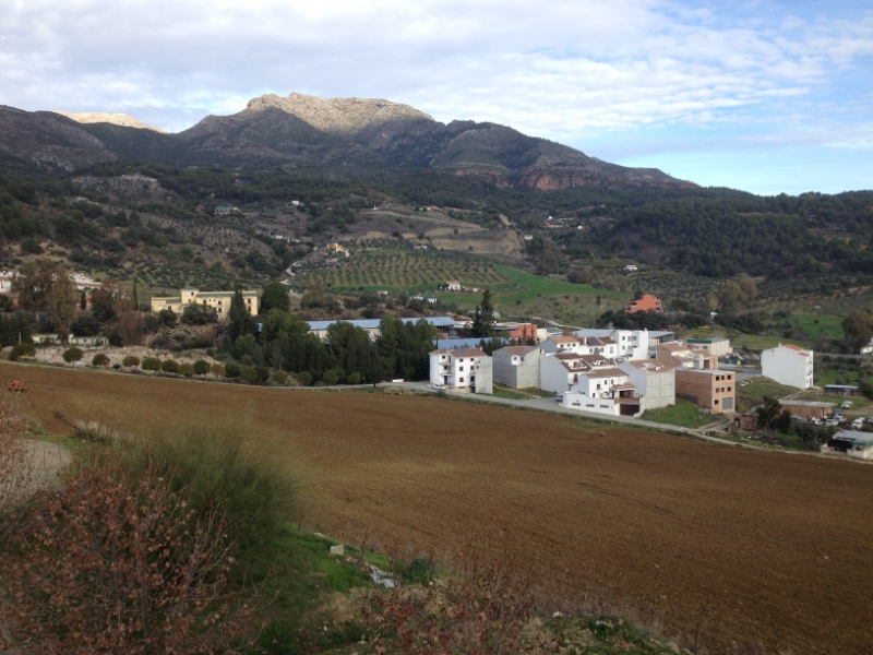 4595 10-1 view