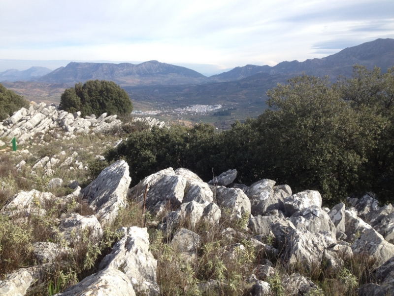 4615 10-1 rocky view
