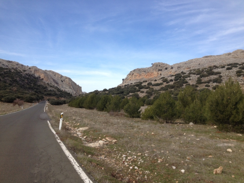 4619 10-1 road view