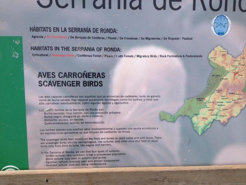 4636 10-1 info board