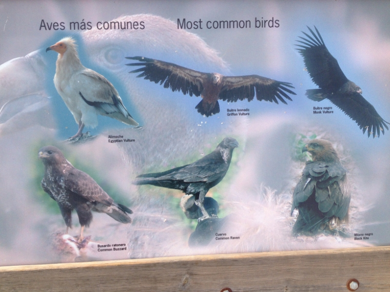 4637 10-1 info board