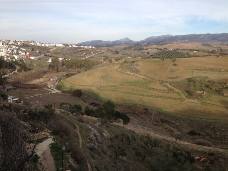 4659 10-1 view Rondo