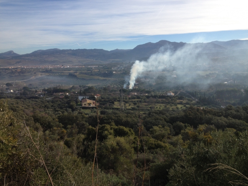 4704 11-1 smoky view
