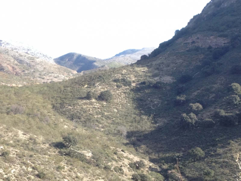 4720 11-1 view