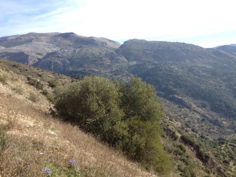 4729 11-1 view