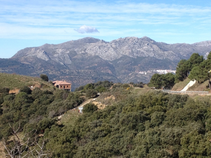 4768 11-1 view