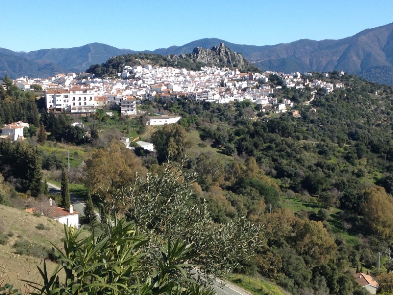 4784 11-1 Gaucin? view
