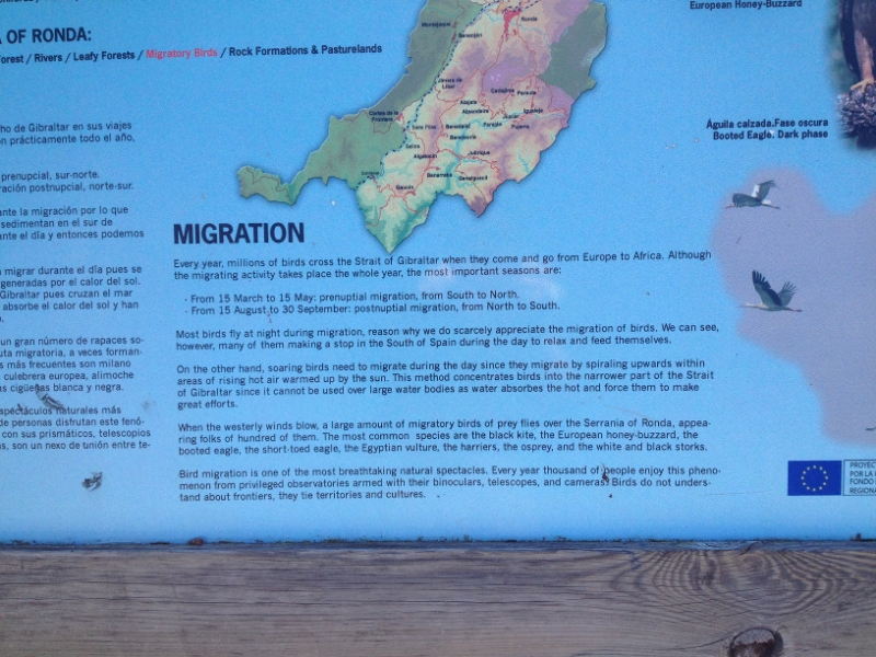 4787 11-1 info board