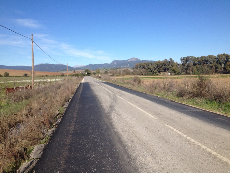 4800 11-1 open road view