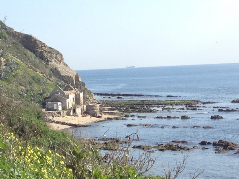 4843 14-1 beach house