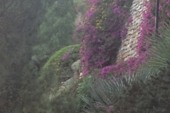 4245 19-12 Flower wall