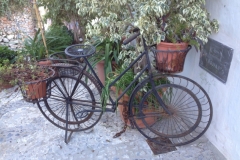 4415 26-12 Flower bike