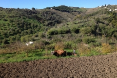 4418 26-12 Farming