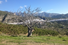 4549 5-1 view