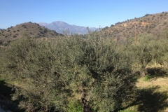 4578 9-1 View