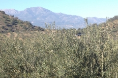 4579 9-1 View
