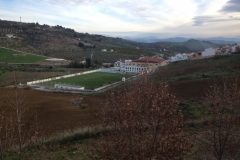 4593 10-1 Football pitch