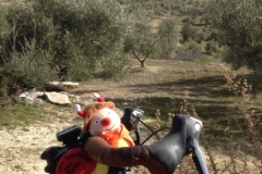 4605 10-1 Brian the snail bike and view