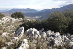 4615 10-1 rocky view