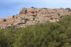 4618 10-1 view