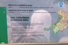 4636 10-1 info board