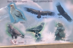 4637 10-1 info board