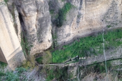 4666 10-1 view Rondo