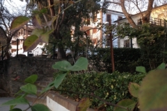4683 10-1 trees Rondo