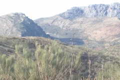 4708 11-1 view