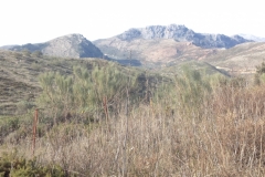 4709 11-1 view