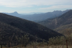 4711 11-1 view