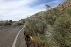 4719 11-1 road view