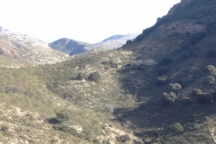 4720 11-1 view
