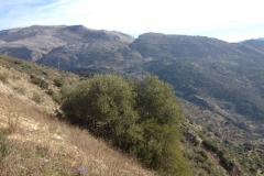 4729 11-1 view