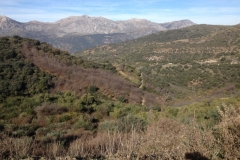4742 11-1 view