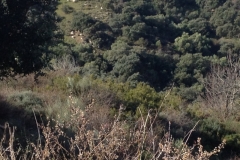 4743 11-1 view