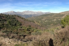 4745 11-1 panorama view