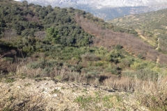 4748 11-1 view