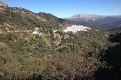 4762 11-1 view