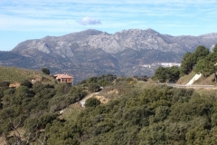 4768 11-1 view