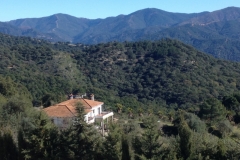 4779 11-1 view