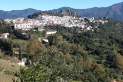 4784 11-1 Gaucin? view